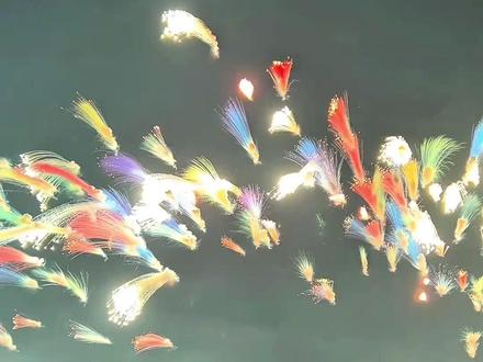 分享13种最美烟花,你过年最想放哪个?#给大家看个不一样的烟花 #对着烟花许愿 #涨知识 #最美的瞬间