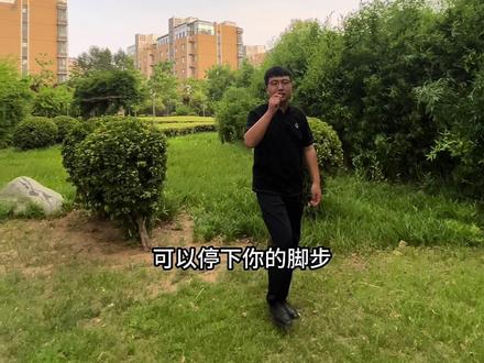 #石家庄 新华区2013年的房子 小区环境棒棒的,157平 大三居 户型也不赖。#石家庄房产 #二手房