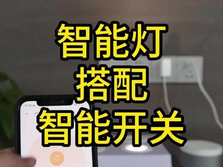 智能灯搭配平头熊智能开关,设置操作很简单,看懂后,1分钟就可以设置好#智能灯搭配智能开关 #智能开关 #智能教程