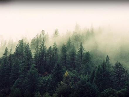 1 分钟学会 PPT 动画过渡页,秒变大神📈 宝子们!1 分钟就能学会超实用的 PPT 过渡页效果,轻松 Get 过渡页出彩秘籍,简单又好看,让你的 PPT 瞬间更吸睛,赶紧学起来~#ppt教学 #ppt模板 #ppt技巧