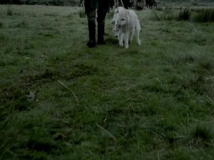 维京传奇35 #美剧推荐