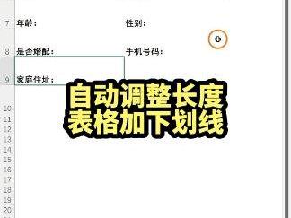表格中设置自动调整长度的下划线#Excel