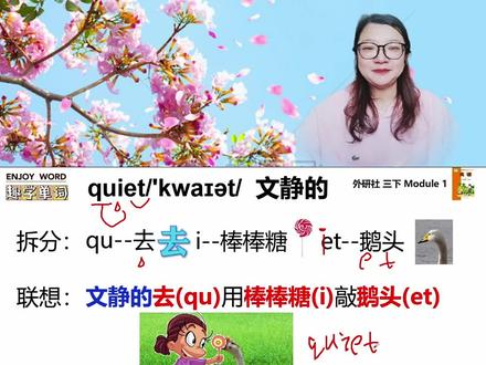 趣学单词quiet文静的#学英语 ##零基础英语 #英语没那么难 #每日英语 #速记单词