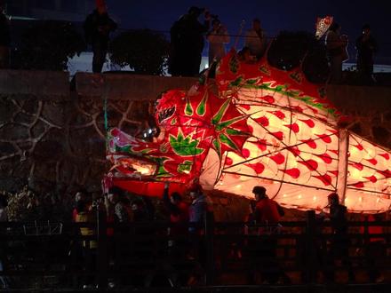 百年村落仪式,一城鱼灯烟火,来歙县嬉鱼灯~#歙县鱼灯 #非遗 #来歙县赴一场鱼灯之约