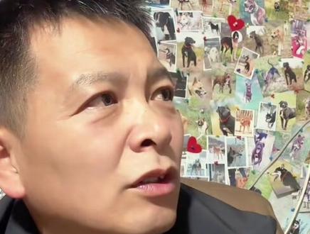 哈哈哈哈,老头天塌了😂😂心尖尖上的大宝贝闺女皮皮又意外怀孕了🤣🤣目前生父不详,最大嫌疑菜刀🥴🥴🥴@西北刀客-公益护农 @西北刀客-机油手 @西北实战~公益护农