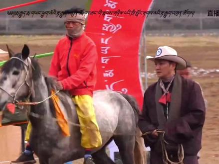 #冠军 谢旦的尕玛噢青