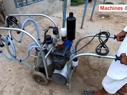 自动挤牛奶机器,咱也不知道奶牛觉得人工还是机器挤奶更舒服。 #奶牛 #自动挤奶机器 #自繁自养 #养牛 #动物