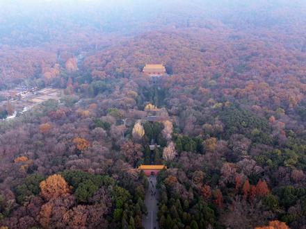 六朝古都南京秋色 六朝金粉歌舞收,铅华洗尽余风流。