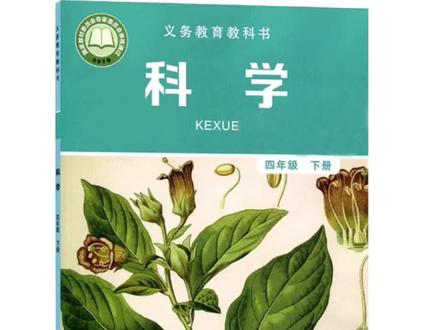 #科技新发现 教科版科学四年级下册第二单元《电路》第2课点亮小灯泡#科学教材