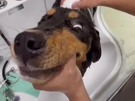 胖堡堡生日快乐🎂#骏良#胖宝宝