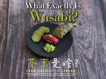芥末是啥? What Exactly Is Wasabi?
Ever wondered what wasabi really is? That green paste beside your sushi might not be what you think. In this episode, we uncover the surprising truth about wasabi — what it actually is, why most of it is fake, and how the real stuff is grown, prepared, and used in Japan.
#抖音知识分享 #英语学习 #英语听力 #芥末 #寿司