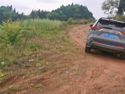 谁说荣放不能越野?谁说CVT钢带一踩就断?谁说荣放上坡难?这儿目前为止唯一成功上来的城市SUV是荣放,而且是雨后😁#rav4 #荣放 #越玩越野