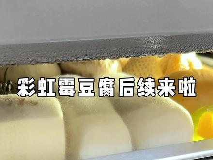 彩虹霉豆腐后续来啦😄 #彩虹霉豆腐 #自制霉豆腐 #霉豆腐后续 #霉豆腐 #在玩一种很新的东西