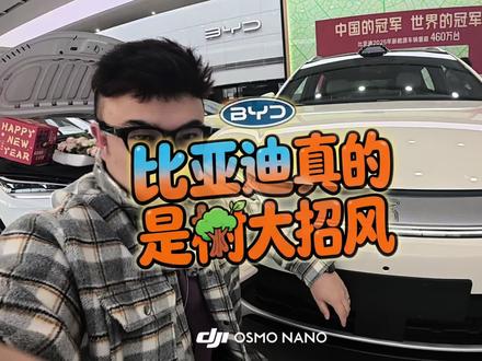 宋Ultra贵吗? #比亚迪 #宋Ultra #第二代刀片电池 #闪充 #买车那点事儿