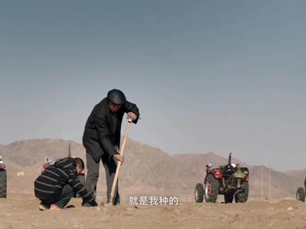 #蚂蚁森林 看看你们种的树现在怎么样了?