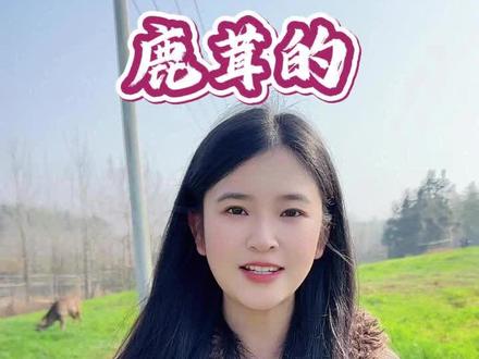 鹿茸应该怎么吃?#梅花鹿养殖 #农村生活记录 #三农养殖 #鹿茸