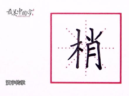 #最美中国字 #规范书写好老师 梢字这样写,写不好都很难!@DOU+小课堂