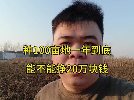 种100亩地一年到底能不能赚20万块钱?