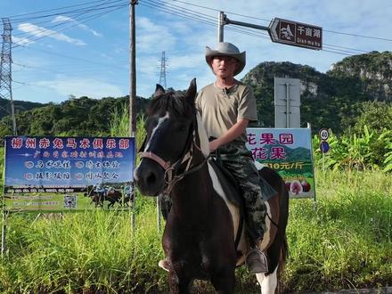 柳州的小伙伴们可以出发来骑马了 #马场 #野骑