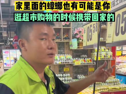 家里发现一只这样的生物,就会有一窝,太可怕了#家里发有蟑螂怎么办 #消灭蟑螂 #超市 #蟑螂药