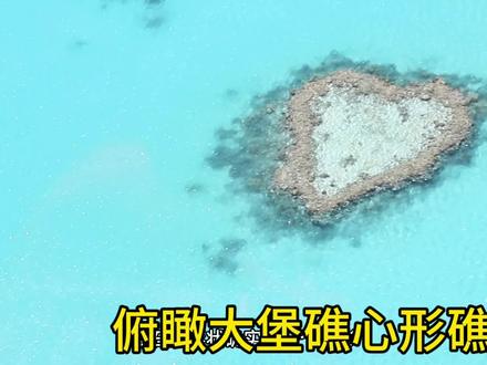 乘坐飞机俯瞰大堡礁、心形礁、白天堂海滩。 在澳大利亚艾尔利海滩乘坐小飞机,空中俯瞰大堡礁、心形礁、白天堂海滩。
#勇走天涯 #环驾澳洲