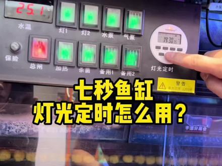 回复 @赢在诚信@贵在坚持的评论 七秒鱼缸自动定时怎么用?今天应粉丝要求讲解一下,如果宝宝们有不明白的地方,可以评论区留言看到一定回复#水族 #养鱼 #忻州七秒鱼缸 #鱼缸