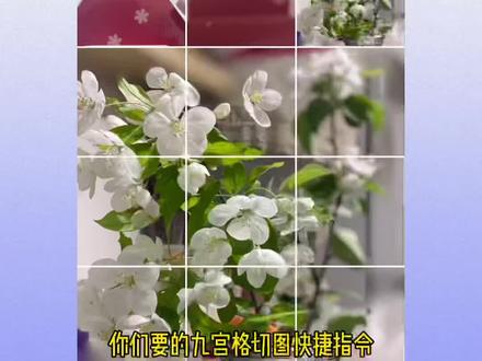 #iphone #iphone快捷指令 #九宫格切图
iPhone九宫格切图快捷指令怎么设置