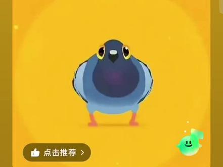 疯狂的鸽子歌曲!!!