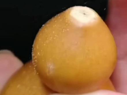 天然小葫芦制作的钥匙扣,内部可以装点小东西,