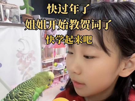#真实生活分享官 如何教虎皮鹦鹉说话?耐心互动,温柔重复,很快就能学会#抖音二创激励计划 #萌宠 #抖音 #鹦鹉