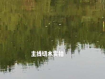 主线切水实拍,多说不如实战!#钓鱼 #鱼线