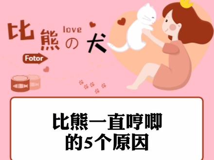 比熊一直哼唧的5个原因#比熊犬 @抖音小助手