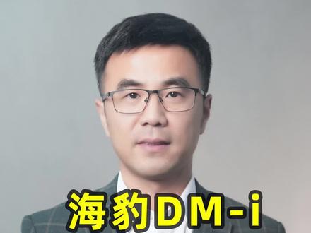 海豹DM-i,这三类人不推荐买!