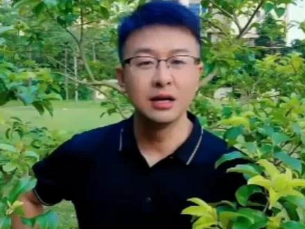 如何使用:剪映提词器,让你轻松录制口播短视频,开启抖音之旅! #剪映提词器的使用方法 #提词器制作口播短视频