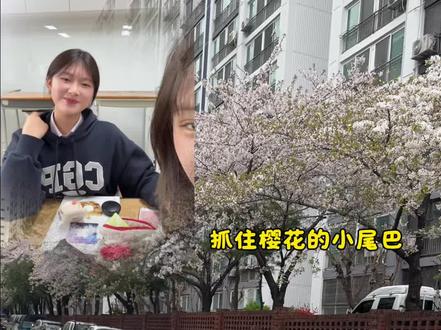 把烦恼一jio踢开#韩国留学生#08年#独居#日常vlog#樱花