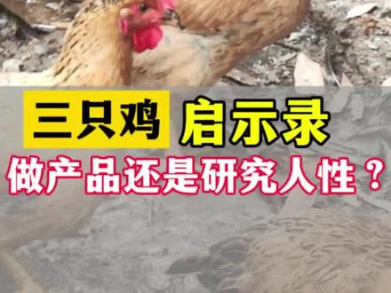 头部顶流带货“皖西麻黄鸡”被打假!做产品还是研究人性?提高品质还是话术?83.8三只鸡背后真正担心的是什么?#麻黄鸡 #淘汰鸡 #虚假宣传 #揭露真相 #农牧小杨哥