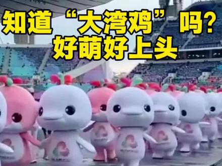 大家来看大湾鸡,好萌好上头!#十五运会是体育盛会更是文化盛宴