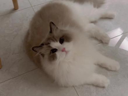 生活就像小猫拔牙 痛 却无法自拔>_<