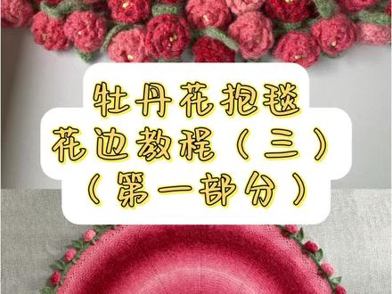 牡丹花束毯 花边镂空钩织教程(三)(第一部分)#钩针编织 #毛线钩织 #花束毯子 #钩针教程 #牡丹花束毯