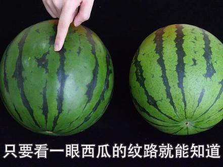 西瓜甜不甜,看这里就知道了,学会这个小技巧,西瓜一挑一个准#西瓜 #挑选西瓜的技巧 #西瓜怎么挑选