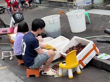 霞山综合市场这家均价1到3块的烧烤,有多少人吃过了 #小龙虾 #烧烤 #湿辣牛肉 #烤虾 #平价美食