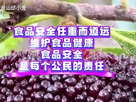 维护食品安全人人有责,致敬每一位监督行业乱象的人。 #食品安全 #行业乱象 #给阿嬷的情书 #给阿嬷的情书电影 #杨梅挑选 给阿嬷的情书导演力推潮阳杨梅。难怪潮汕文旅局禁止外来品种冒充本地杨梅,给潮汕文旅局点赞👍👍👍
