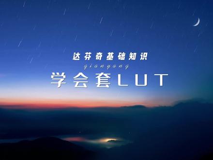 超简单调色技巧,学会套用LUT。##摄影 #达芬奇调色