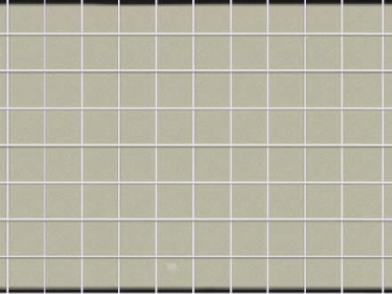 知识春节解读|快病死的老虎,还能秒杀鳄鱼? #抖音年味新知贺岁 #虎王 #动物世界