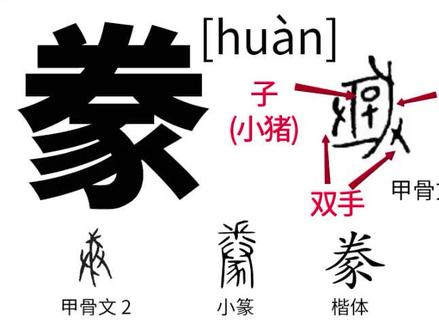 豢 #说文解字 #识字 #豕 把小猪从猪窝里抱走,带回去饲养
