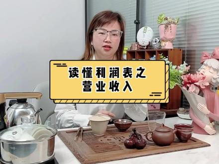 读懂利润表之营业收入#零基础小白学会计 #财税知识 #每天学点财务知识