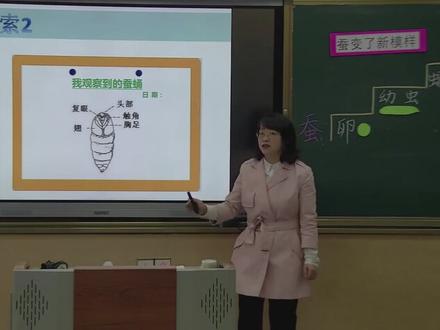 科教版科学3下-蚕变了新模样
