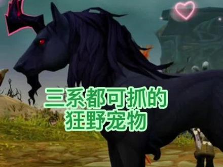 魔兽世界猎人三系天赋都可抓的狂野(嗜血)宠物-阴郁黎明-持续更新中#魔兽世界 #魔兽世界怀旧服 #游戏精彩时刻 #游戏日常 #新手必看 #马 #视觉震撼 #特效 #实用 #一起玩游戏 #黑色