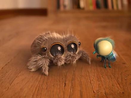 萌入心!小蜘蛛卢卡斯最全短片合集(1-18期)