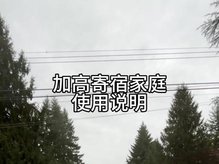 我现在也没明白为什么ins不行要discord#vlog十亿流量扶持计划 #寄宿家庭#留学生